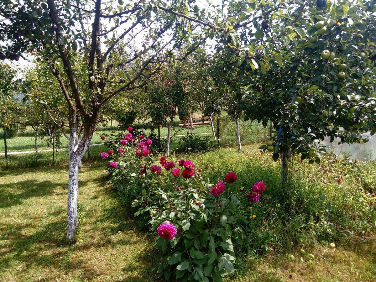 Sunny Paradise Bihać Exteriér fotografie