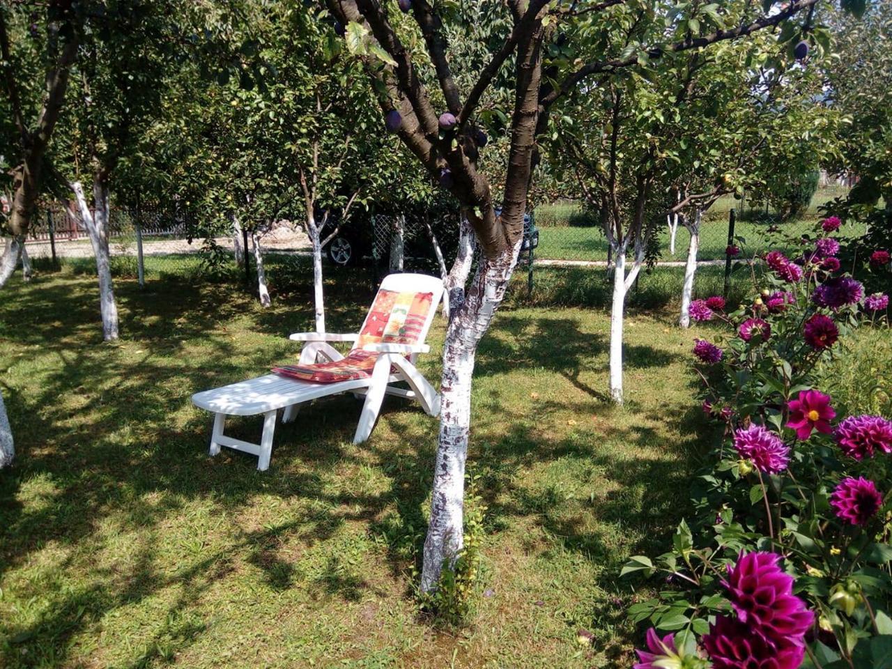 Sunny Paradise Bihać Exteriér fotografie